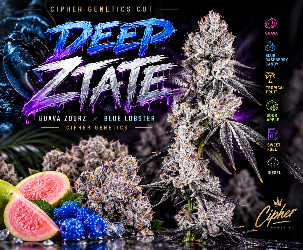 Deep Ztate (Cipher)