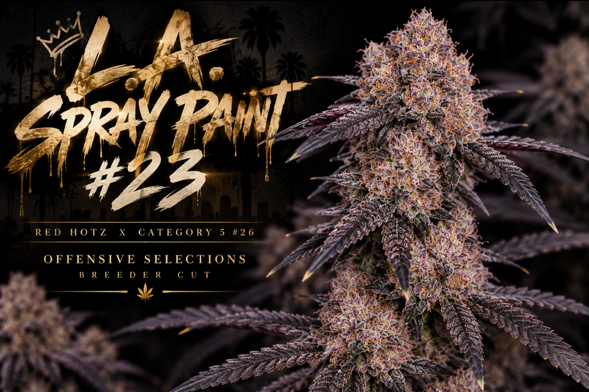 LA Spray Paint #23 (Offensive)