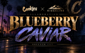 Blueberry Caviar )Cookies x Ridgeline)