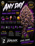 Any Day (Compound)