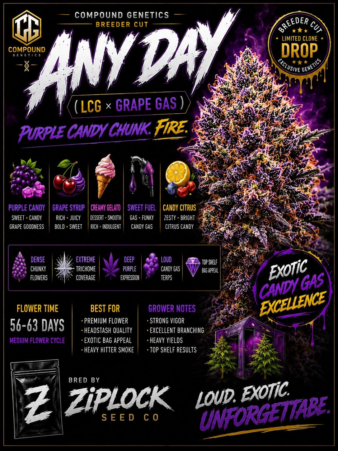 Any Day (Compound)