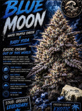 Blue Moon (Fresh Coast)
