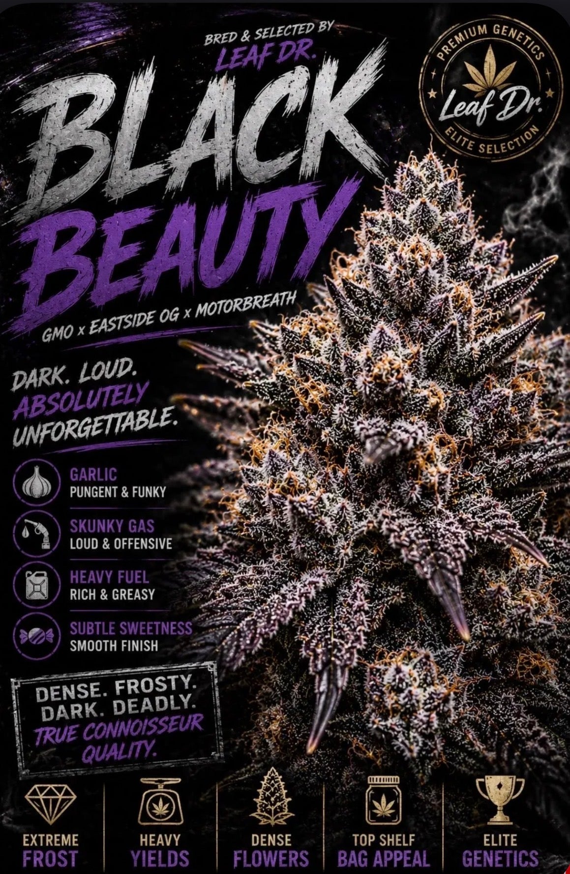 Black Beauty