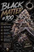 Black Matter