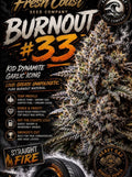 Burnout #33 (Fresh Coast)