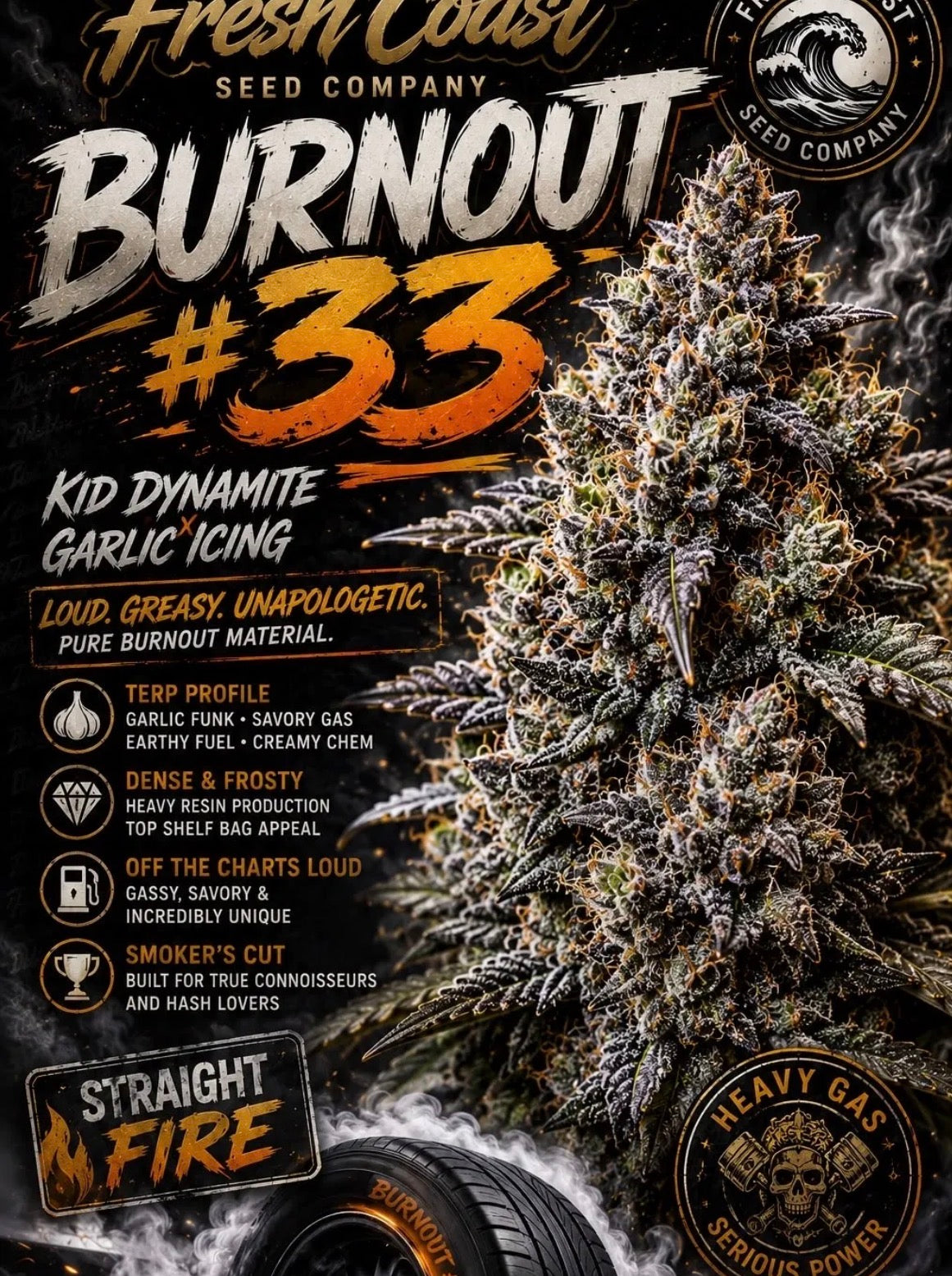 Burnout #33