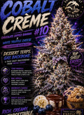 Cobolt Creme #10 (Fresh Coast)