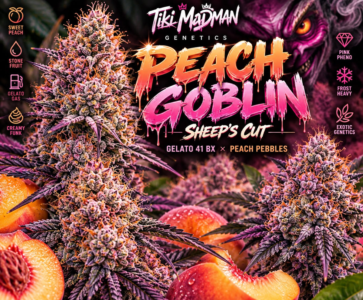 Peach Goblin (Sheep's Cut)