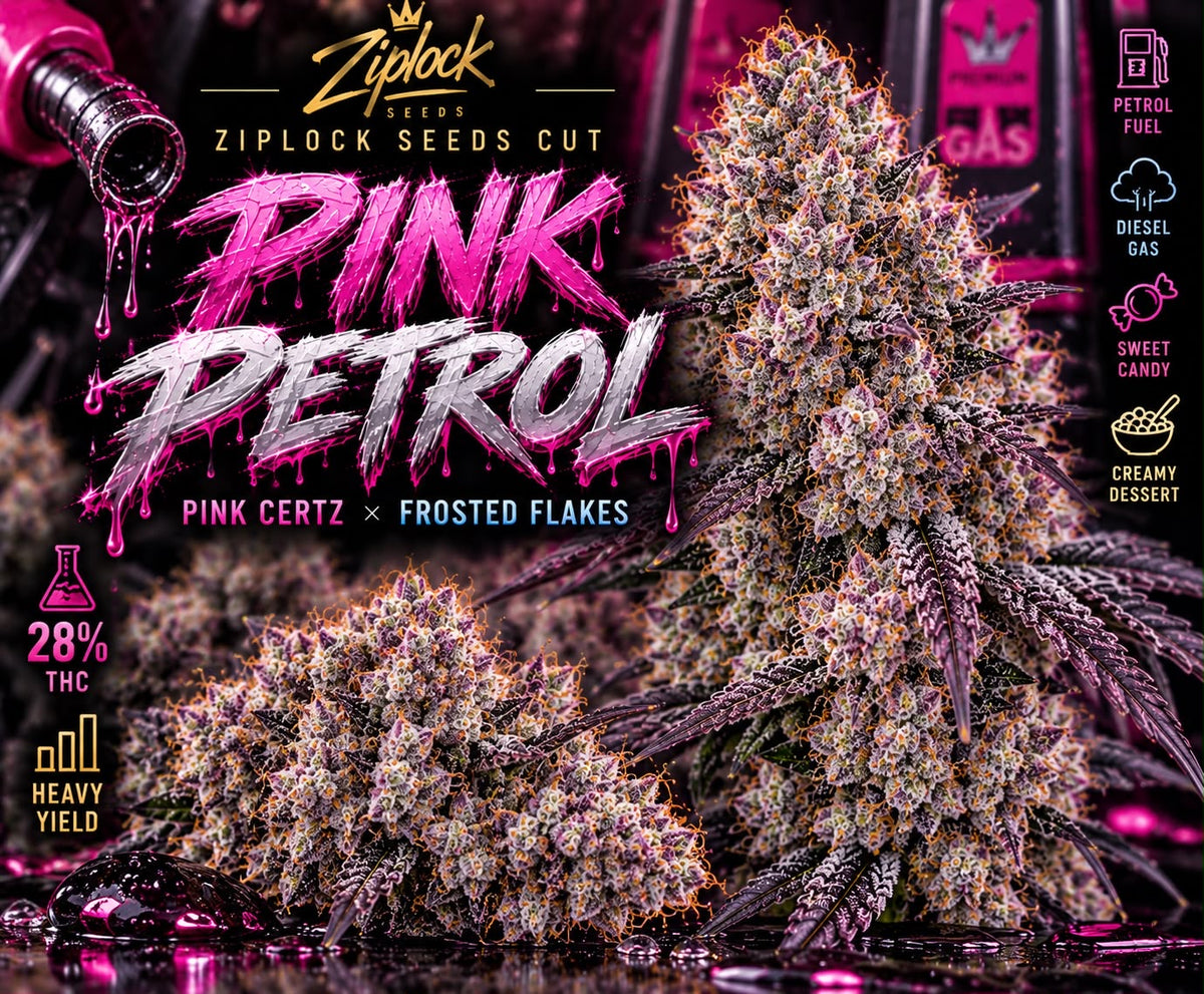 Pink Petrol (Ziplock)