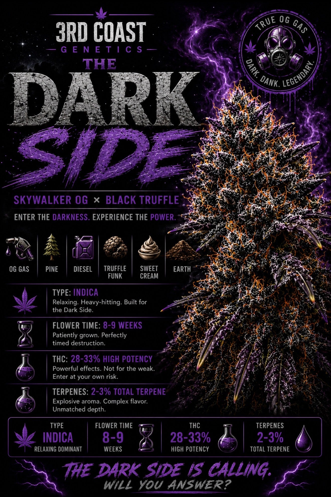 Dark Side