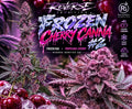 Frozen Cherry Canna #2 (Reverse)
