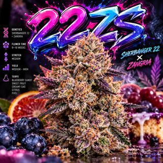 22Zs