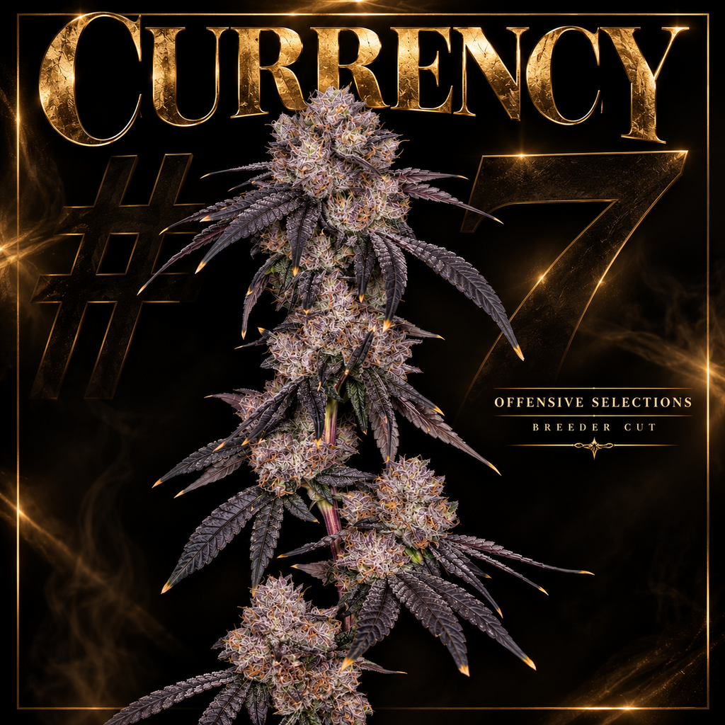 Currency #7 (Offensive)
