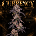 Currency #7 (Offensive)
