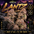 Ridgeline Lantz (Ridgeline)