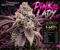 Pink Lady #27 💋