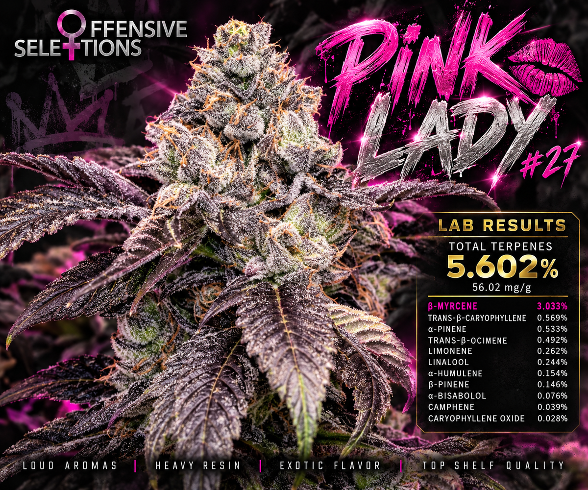 Pink Lady #27 💋