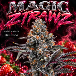 Magic Ztrawz (Seed Junky)