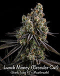 Lunch Money (Fresh Coast)