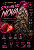 Strawberry Nova (Clearwater)