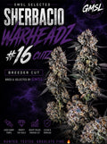 Sherbacio Warheadz 16 (GMSL)