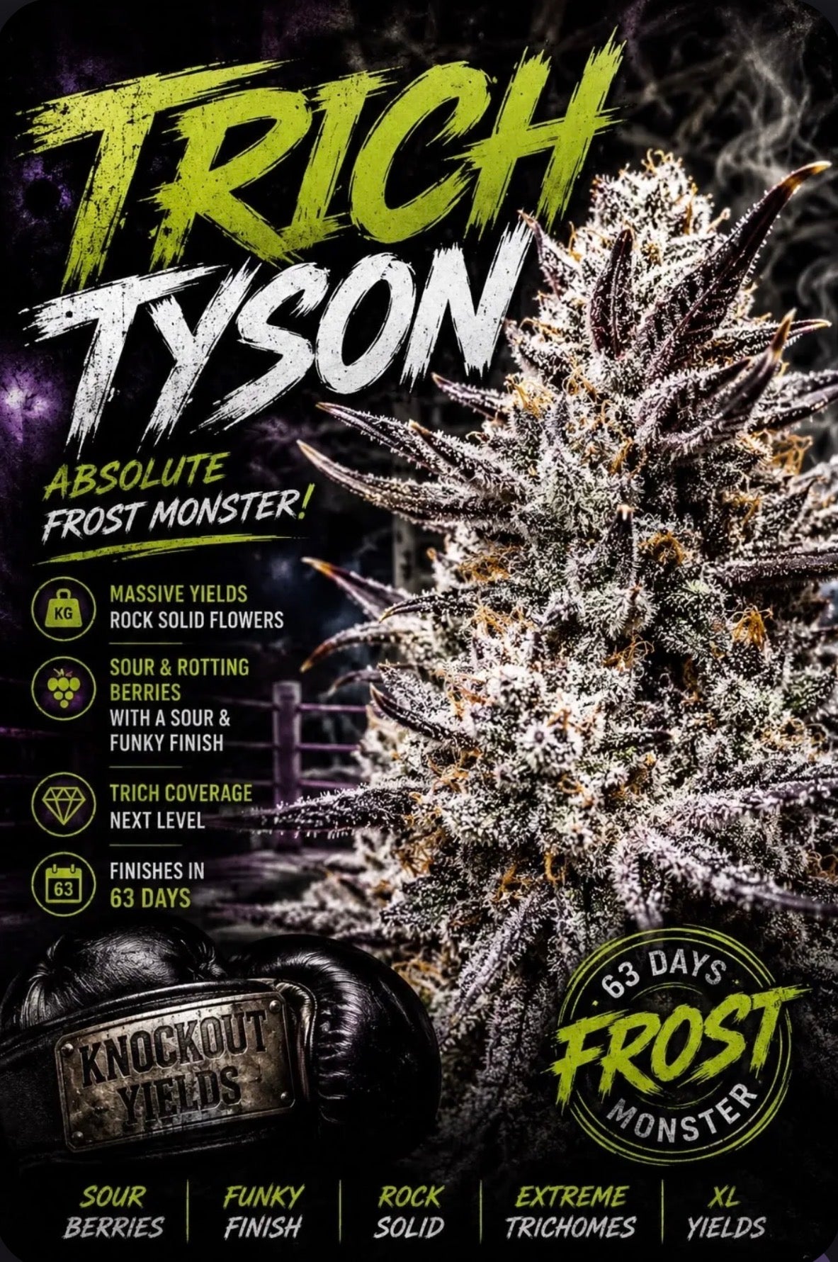 Trich Tyson #26