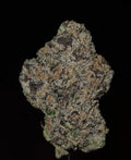 Verzace (Wizard Trees)